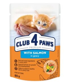 4 Paws Premium Kitten Pouch Zalm In Saus 24X80 Gr