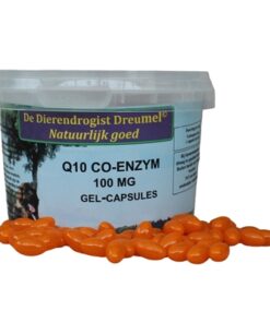 Q10 Capsules 60 St