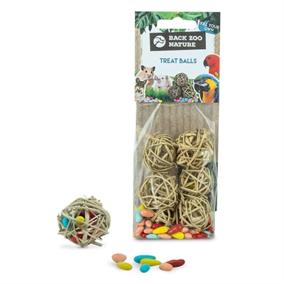 Zoo Nature Treat Balls 4 Cm 6 St