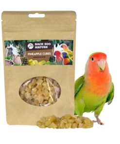 Zoo Nature Ananas Cubes 250 Gr