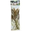 Zoo Nature Millet Setaria Italica 50 Gr