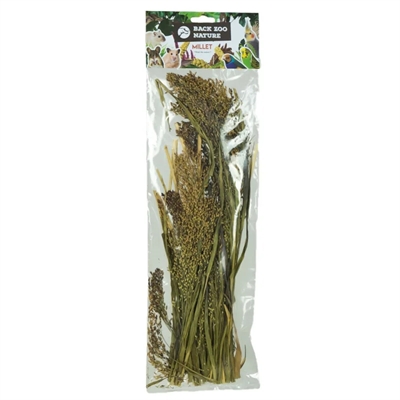 Zoo Nature Millet Panicum 40 Gr