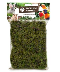 Zoo Nature Forest Moss 70 Gr