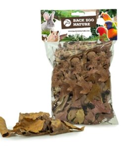 Zoo Nature Discovery Leaves Ca. 50 Gr