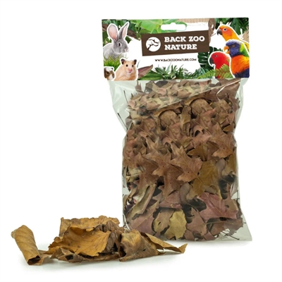 Zoo Nature Discovery Leaves Ca. 50 Gr