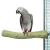 Zoo Nature Java Perch Ca. 30X3-4 Cm