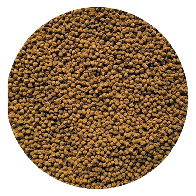 Goudviskorrel Drijvend 150 Ml