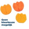 Tulp Met Kippenborst Assorti 25 Gr