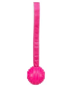 Werpbal Soft & Strong Tpr Roze 27X6X6 Cm