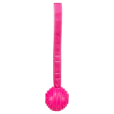 Werpbal Soft & Strong Tpr Roze 27X6X6 Cm