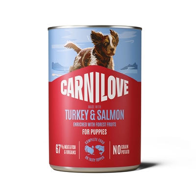 Can Puppy Salmon / Turkey 6X400 Gr