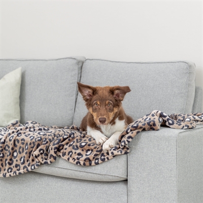 Hondendeken Leo Softpluche Panterprint Bruin 150X100 Cm
