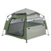 Hondentent Pop-Up Olijfgroen / Beige 100X100X80 Cm