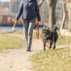 Sleeplijn Met Rubber Bekleed Zonder Handlus Oranje 10 Mtrx1,5 Cm