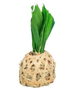 Ananas Bamboe Met Maisbladeren En Hooi 6,5X6,5X14 Cm