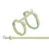 Kattentuigje Met Riem Fluweel Groen 28-45X1 Cm