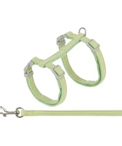 Kattentuigje Met Riem Fluweel Groen 28-45X1 Cm
