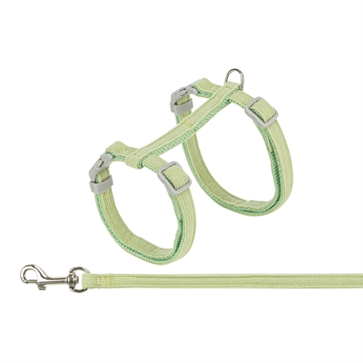 Kattentuigje Met Riem Fluweel Groen 28-45X1 Cm