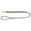 Hondenriem Pure Leer Saliegroen 100X2,5 Cm