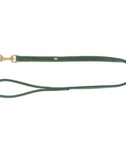 Hondenriem Pure Leer Saliegroen 100X2,5 Cm