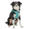Hondentuig Urbanvest Mesh Aqua 31-34X1,5 Cm - Xxs