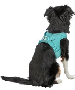 Hondentuig Urbanvest Mesh Aqua 34-37X1,5 Cm - Xxs-Xs