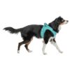 Hondentuig Urbanvest Mesh Aqua 41-44X1,5 Cm - Xs-S