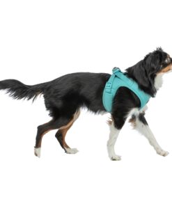 Hondentuig Urbanvest Mesh Aqua 41-44X1,5 Cm - Xs-S