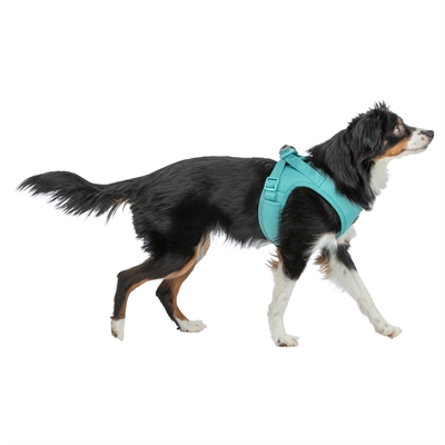 Hondentuig Urbanvest Mesh Aqua 41-44X1,5 Cm - Xs-S