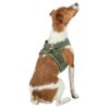 Hondentuig Urbanvest Mesh Olijfgroen 34-37X1,5 Cm - Xxs-Xs