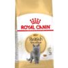 Canin British Shorthair 2 Kg