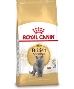 Canin British Shorthair 2 Kg