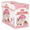 Canin Wet Kitten 12X85 Gr