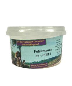 Foliumzuur Vitamine B12 100 Tbl