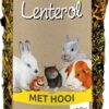 Lenterol Small 20 Cm
