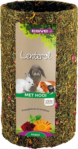 Lenterol Medium 25 Cm