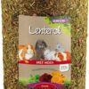 Lenterol Large 30 Cm