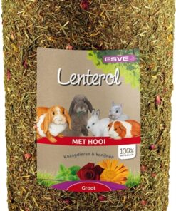 Lenterol Large 30 Cm
