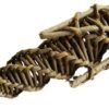 Pet Knaagspeeltje Mais Wilg 16X5X5 Cm