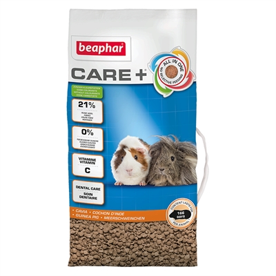 Cavia 5 Kg