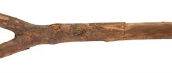 Pet Vogelzittak Natural 20X5X3 Cm