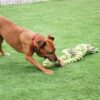 Pet King Size Tug Flostouw Xl 123X18 Cm
