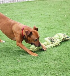 Pet King Size Tug Flostouw Xl 123X18 Cm