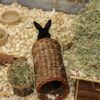 Pet Wilgen Tunnel Large 32X15X15 Cm
