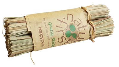 Pet Grassy Sticks 18X3X3 Cm