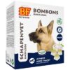 Petfood Schapenvet Maxi Bonbons Knoflook 40 St