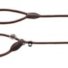 Retrieverlijn Met Stop Freestyle Bruin 170X0,8 Cm