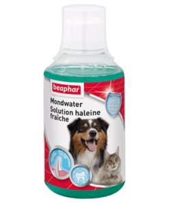 Mondwater 250 Ml