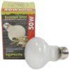 Warmtelamp Es 50 Watt