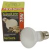 Warmtelamp Es 75 Watt